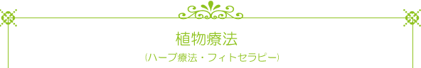 植物療法